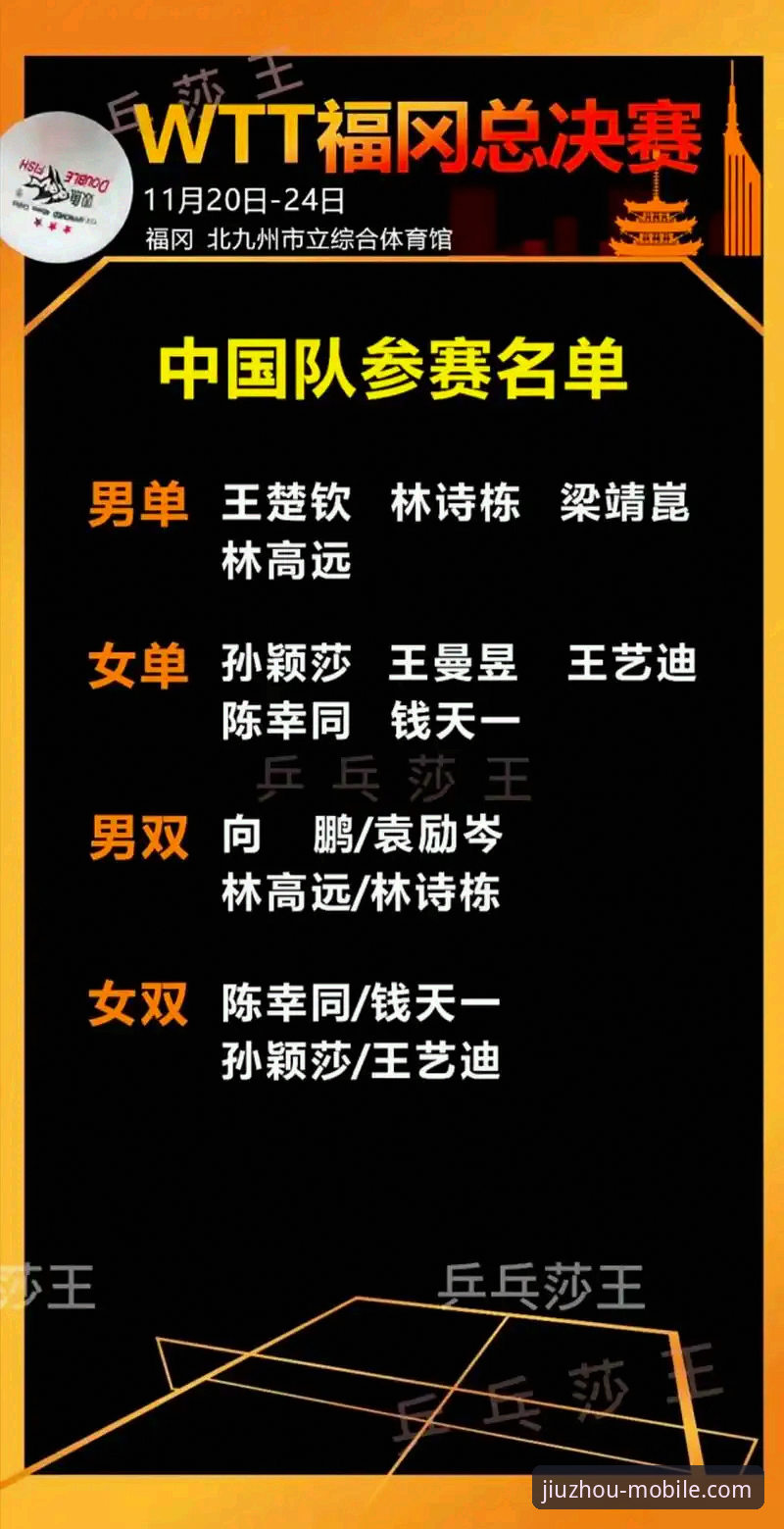 九州体育官方版实用指南：从下载到实战的必备知识